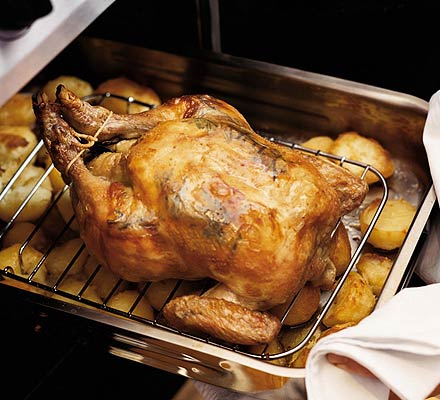 chicken